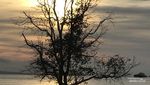 Foto: Sunset Cantik di Tanjung Pendam, Sayang Untuk Dilewatkan