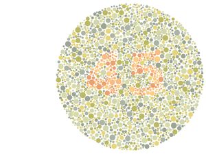 Bisa Liat Angka yang Tersembunyi? Berarti Mata Kamu Masih Sehat