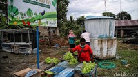 Syaiful mengatakan selama ini warga di desanya untuk mengonsumsi sayuran kerap membelinya di pasar. Padahal menurutnya, warga desa dapat menanamnya secara hidroponik. Bahkan secara kandungan lebih bagus karena tidak menggunakan pestisida. 