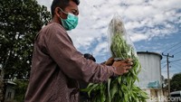 Soal harga, Syaiful membanderol sayuran yang dihasilkan oleh hidroponiknya yaitu Rp 24.000/kg untuk selada, Rp 15.000/kg untuk kangkung, dan Rp 10.000/kg untuk pakcoi. Diketahui, pembentukan hidroponik ini juga dibantu oleh PT Indonesia Asahan Aluminium (Inalum). Dalam hal ini, Inalum melakukan berbagai kegiatan mulai dari pelatihan hingga pengenalan program hidroponik.  