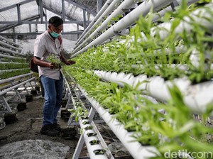 Kementerian Diminta Kerja Sama dan Optimalkan Serapan Hasil Panen