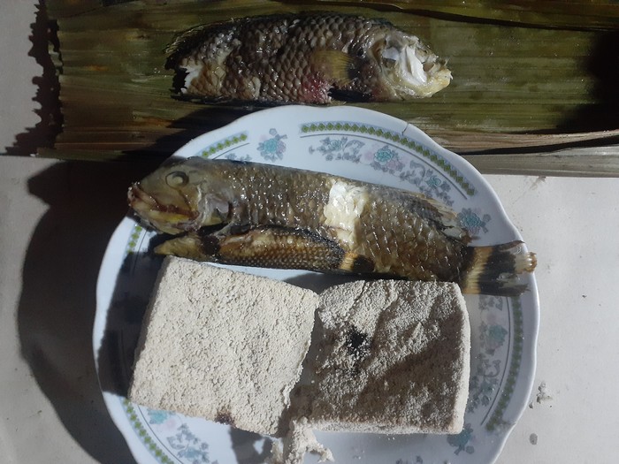 Ikan Pasir Nabire