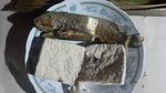 Satu Lagi Hewan Unik dari Timur Indonesia, Ikan Pasir!