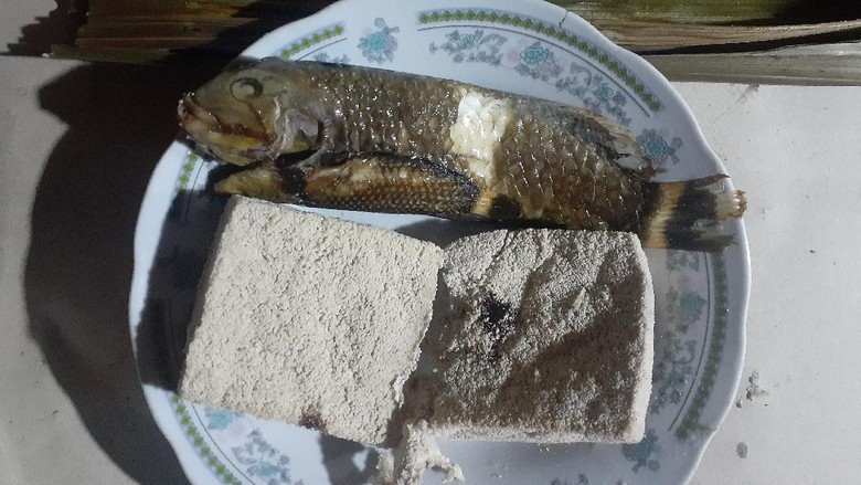 Ikan Pasir Unik Nabire Ikan Pasir Nabire