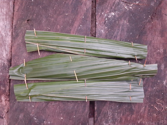 Ikan Pasir Nabire