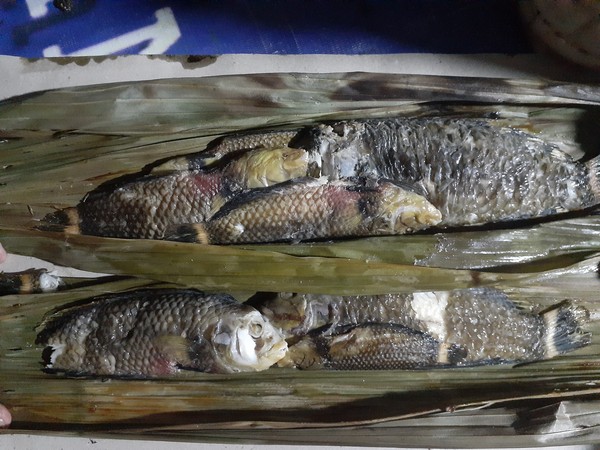 Dalam bahasa Inggris ikan pasir Nabire ini disebut sebagai Pearly Razorfish, nama ilmiahnya Xyrichtys novacula. Xyrichtys berasal dari bahasa Yunani. Xyreo berarti yang memotong seperti pisau, ichthys berarti ikan. Sementara itu, Novacula merupakan nama khusus dari bahasa Latin novacula yang berarti pisau cukur. Hal itu mengacu pada bagian depan kepala ikan pasir Nabire yang berujung tajam. Dalam bahasa Inggris ikan pasir Nabire ini disebut sebagai Pearly Razorfish, nama ilmiahnya Xyrichtys novacula. Xyrichtys berasal dari bahasa Yunani. Xyreo berarti yang memotong seperti pisau, ichthys berarti ikan. Sementara itu, Novacula merupakan nama khusus dari bahasa Latin novacula yang berarti pisau cukur. Hal itu mengacu pada bagian depan kepala ikan pasir Nabire yang berujung tajam.