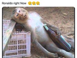 Meme Ronaldo Keok di Euro 2020 dan Coca Cola Bahagia