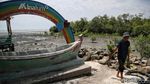 Menjaga Kelestarian Pantai Sejarah Lewat Aksi Tanam Mangrove