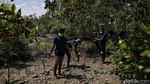 Menjaga Kelestarian Pantai Sejarah Lewat Aksi Tanam Mangrove