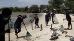 Menjaga Kelestarian Pantai Sejarah Lewat Aksi Tanam Mangrove