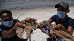Menjaga Kelestarian Pantai Sejarah Lewat Aksi Tanam Mangrove