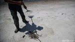 Menjaga Kelestarian Pantai Sejarah Lewat Aksi Tanam Mangrove