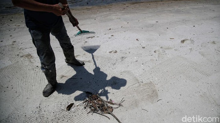 Menjaga Kelestarian Pantai Sejarah Lewat Aksi Menanam Mangrove Pantai Sejarah pernah alami abrasi besar-besaran imbas penjualan pasir kuarsa. Warga pun turun tangan menjaga kelestarian pantai dengan menanam pohon mangrove.
