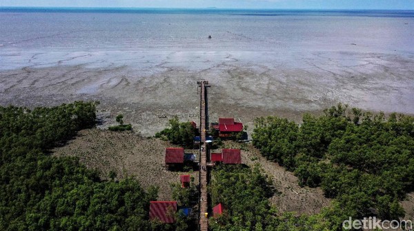 Sebagai informasi, detikcom bersama MIND ID mengadakan program Jelajah Tambang berisi ekspedisi ke daerah pertambangan Indonesia. detikcom menyambangi kota-kota industri tambang di Indonesia untuk memotret secara lengkap bagaimana kehidupan masyarakat dan daerah penghasil mineral serta bagaimana pengolahannya. Sebagai informasi, detikcom bersama MIND ID mengadakan program Jelajah Tambang berisi ekspedisi ke daerah pertambangan Indonesia. detikcom menyambangi kota-kota industri tambang di Indonesia untuk memotret secara lengkap bagaimana kehidupan masyarakat dan daerah penghasil mineral serta bagaimana pengolahannya.