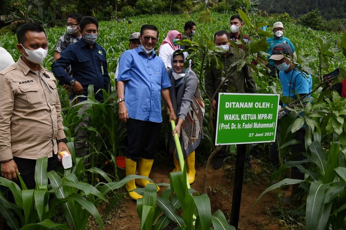 Wakil Ketua MPR Ajak Masyarakat Gorontalo Ciptakan Agrowisata Buah