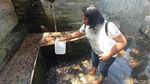 Foto: Aek Sipitu Dai, Pemandian Sakral Pengabul Permintaan