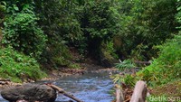 Tiba di pintu masuk curug Bojong, traveler akan dipungut karcis masuk sebesar Rp 10 ribu. Di ujung jalan setapak, traveler harus menyeberangi sungai dengan lebar sekitar 6 meter dan airnya dangkal. Tak ada jembatan, kita harus melintasi aliran sungai. 