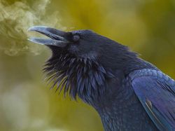 Kumpulan Foto Keren Tanpa Sentuhan Photoshop