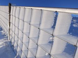 Kumpulan Foto Keren Tanpa Sentuhan Photoshop