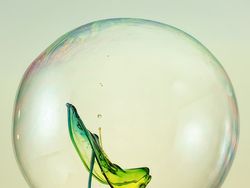 Kumpulan Foto Keren Tanpa Sentuhan Photoshop