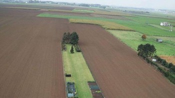 Rumah kecil dengan halaman ladang yang luas. Foto: Brightside