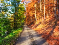 fotoinet foto keren tanpa photoshop