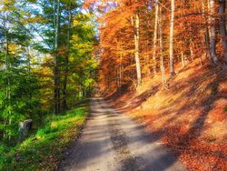 Kumpulan Foto Keren Tanpa Sentuhan Photoshop