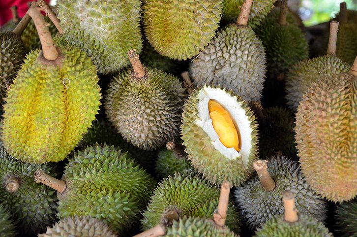 gegara petik durian sembarang, 11 orang ditangap polisi