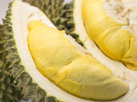 gegara petik durian sembarang, 11 orang ditangap polisi