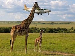 Ilusi Optik di Kehidupan Nyata yang Mengelabui Mata