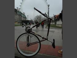 Ilusi Optik di Kehidupan Nyata yang Mengelabui Mata