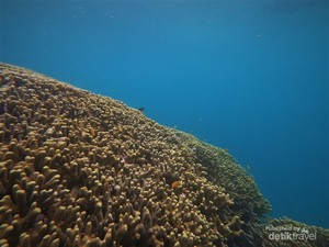 Melepas Penat di Pulau Tabuhan