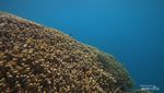 Melepas Penat di Pulau Tabuhan