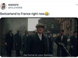 Meme Tragis Prancis Dipulangkan Swiss