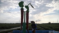 Usai dinilai sukses, sekitar tahun 2011 tren menanam cabai pun mulai diikuti oleh puluhan orang. Di tahun 2012, lahan cabai pun semakin bertambah luas, dan diikuti oleh desa-desa di Kabupaten yang sama.