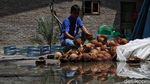Mengenal si Untung, Sang Pengusaha yang Memanfaatkan Limbah Organik