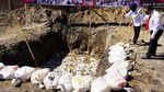 Ribuan Liter Miras Cap Tikus Dimusnahkan