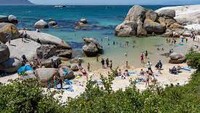 Pantai Boulders di Cape Town, Afrika punya keistimewaan yakni menjadi habitat pinguin Afrika. Oleh sebab itu banyak wisatawan datang ke sana untuk memotret pingun-pinguin menggemaskan. Foto: Wikimedia Commons