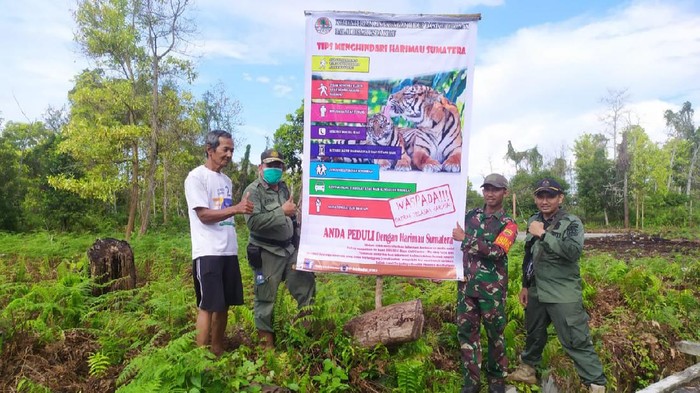Petugas pasang peringatan ke warga soal harimau (dok. BKSDA)