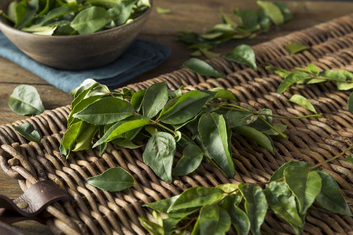 Bumbu Dapur untuk Mengembalikan Indra Penciuman
