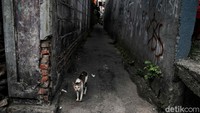 Bertambahnya zona merah Jakarta merupakan salah satu dampak dari lonjakan kasus COVID-19. Dalam beberapa hari terakhir, DKI Jakarta mencatat lebih dari 8.000 kasus baru Corona per hari. 