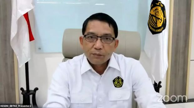 Direktur Jenderal EBTKE Dadan Kusdiana. (Dok. ESDM)