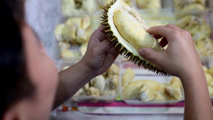 Durian palsu Waduh! Penjual Durian Tipu Pembeli dengan Durian Black Thorn Palsu