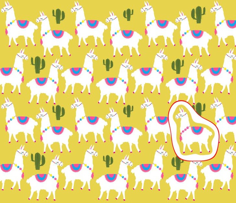 fotoinet cari objek tersembunyi