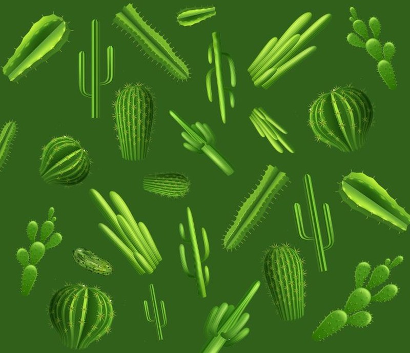 fotoinet cari objek tersembunyi