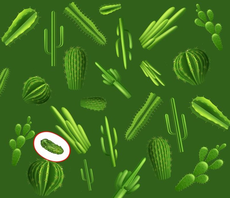 fotoinet cari objek tersembunyi