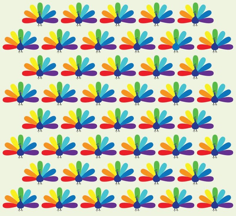 fotoinet cari objek tersembunyi