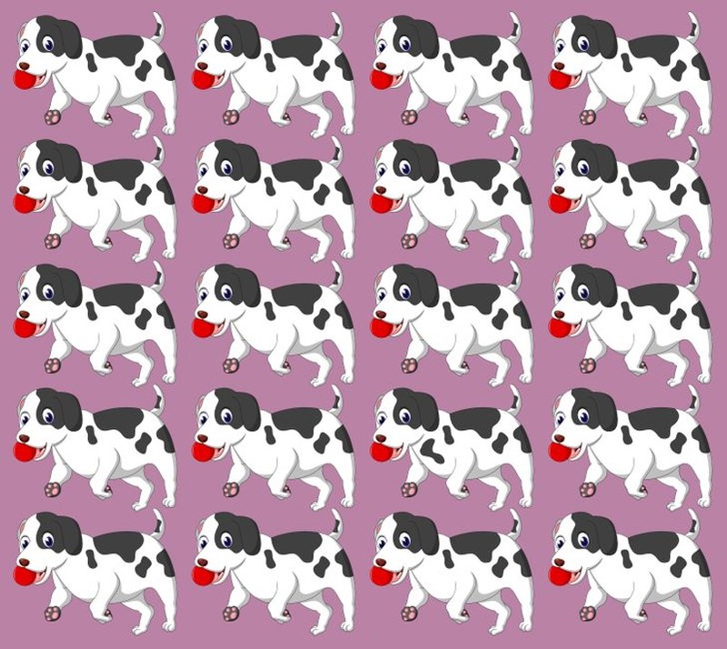 fotoinet cari objek tersembunyi