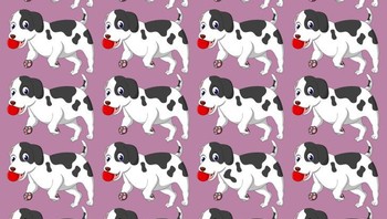 Temukan bentuk anjing yang berbeda. Foto: Brightside