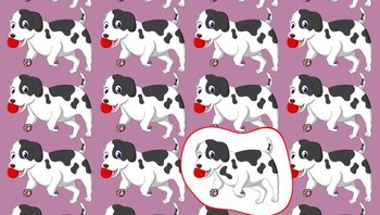 Ini jawabannya. Foto: Brightside